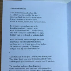 Central Poetry Instead Of A Card - Ten Poems About Friendship -Literary Gift Shop 131500DC AB9C 4284 BA98 03F086B1FA2E