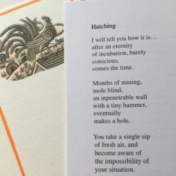 Central Poetry Instead Of A Card - Twelve Poems About Chickens -Literary Gift Shop 53A7B809 0438 4C1D A933 4A0A208335D1