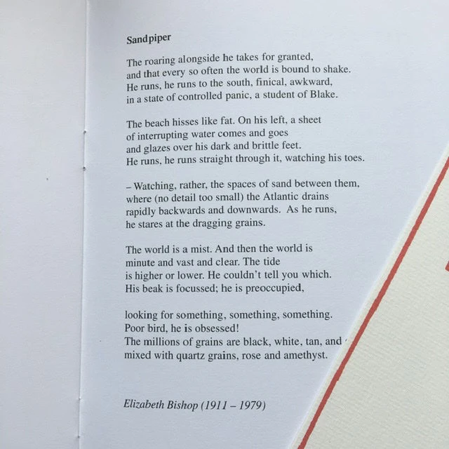 Central Poetry Instead Of A Card - Ten Poems About Birds 4 Central Poetry Instead Of A Card - Ten Poems About Birds - Image 4