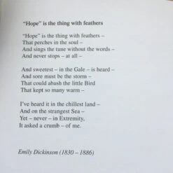 Central Poetry Instead Of A Card - Ten Poems About Birds 7 Central Poetry Instead Of A Card - Ten Poems About Birds -Literary Gift Shop BAAB0622 2221 441F BBEC BEDAE0867A4C