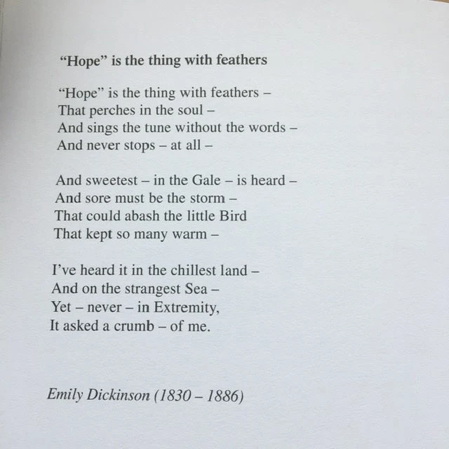 Central Poetry Instead Of A Card - Ten Poems About Birds 3 Central Poetry Instead Of A Card - Ten Poems About Birds - Image 3