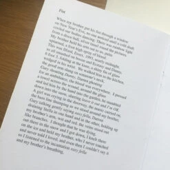 Discontinue Poetry Instead Of A Card - Ten Poems About Brothers -Literary Gift Shop Brothers4