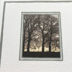 Central Poetry Instead Of A Card - Ten Poems About Trees -Literary Gift Shop C9BBFEF2 3D3E 4CC9 BE02 B8348DB92AA2