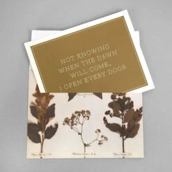 Macmillan Emily Dickinson Notecards -Literary Gift Shop Emily dickinson notecards C