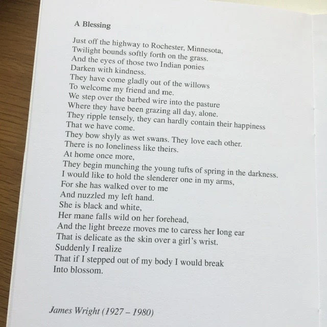 Central Poetry Instead Of A Card - Ten Poems About Happiness 3 Central Poetry Instead Of A Card - Ten Poems About Happiness - Image 3