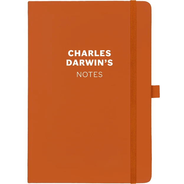 Personalised Personalised Notebook - Sans Serif Font 8 Personalised Personalised Notebook - Sans Serif Font - Image 8