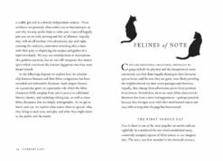 Gardners Literary Cats -Literary Gift Shop ScreenShot2022 09 28at20.33.08