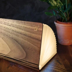 Gingko Book Light - Mini -Literary Gift Shop Walnut Book Light 1