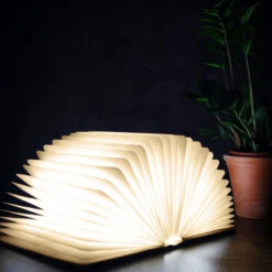 Gingko Book Light -Literary Gift Shop Walnut Book Light 3