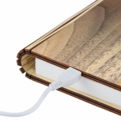 Gingko Book Light - Mini -Literary Gift Shop Walnut Mini Book Light 1
