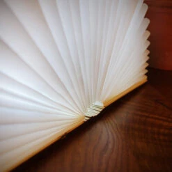 Gingko Book Light -Literary Gift Shop book light 4