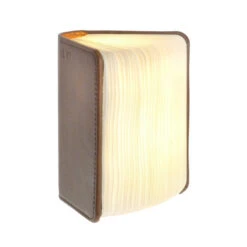 Gingko Book Light - Mini