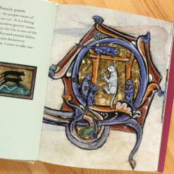 Hachette Cats In Medieval Manuscripts -Literary Gift Shop cats in medieval manuscripts A