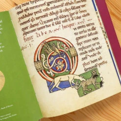 Hachette Cats In Medieval Manuscripts -Literary Gift Shop cats in medieval manuscripts B
