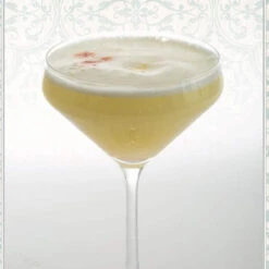 Gardners Gin Austen: 50 Cocktails To Celebrate The Novels Of Jane Austen -Literary Gift Shop gin austen6 copy