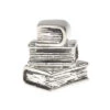 FCD Stack Of Books Lapel Pin