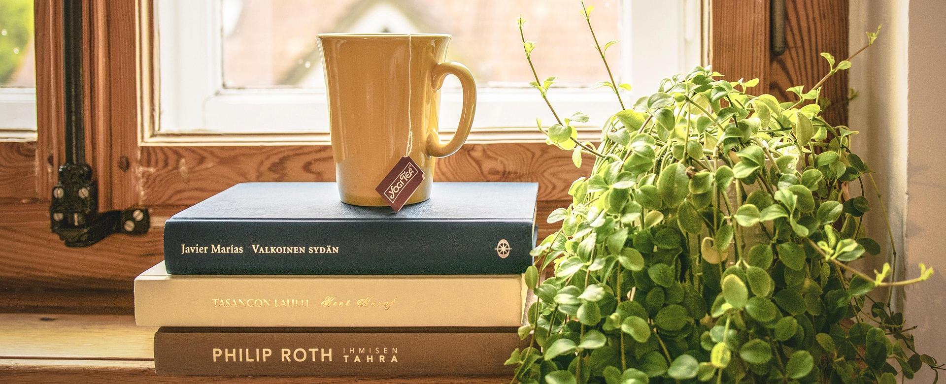 Literary Gift Shop -Literary Gift Shop book 2020460 1920